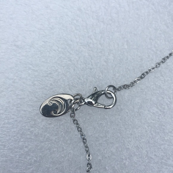 Charming Charlie Necklace - Tassel - Picture 6 of 15